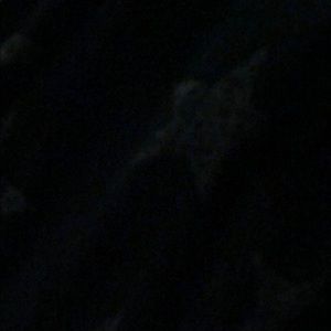 Meet your Posher, Will